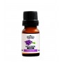 Aceite Esencial Lavanda Relajación Bagués 10ml