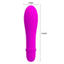 Vibrador Masajeador 10 Velocidades Solomon Pretty Love