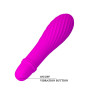 Vibrador Masajeador 10 Velocidades Solomon Pretty Love